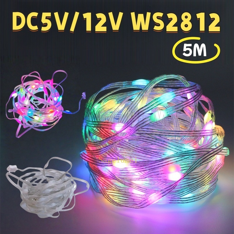 Decor Lighting Address - DC5V/12V WS2812 LED String Light RGB