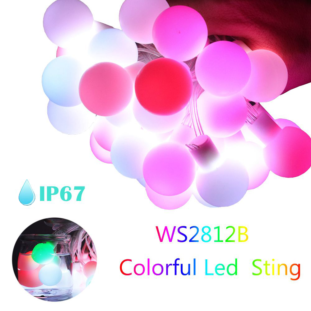 WS2812b LED Round Ball String  - Decor Lighting Address 评论和价格