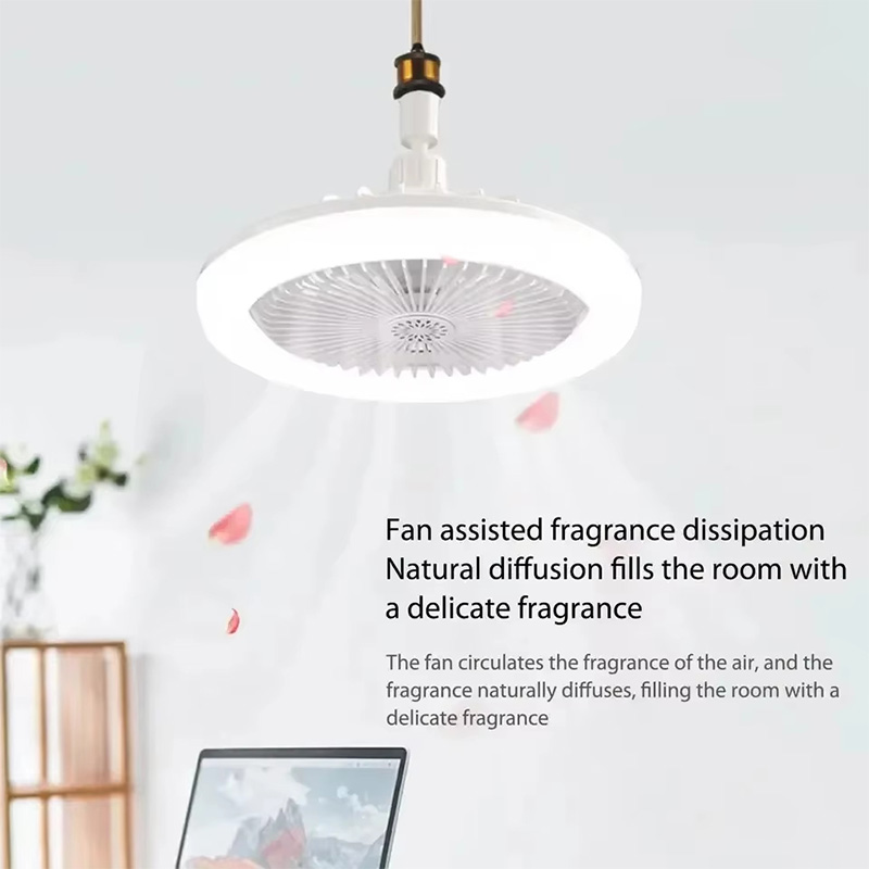 2 In 1 Ceiling Fan Lamps 3 Spe - Decor Lighting Ceiling Fans 评论和价格