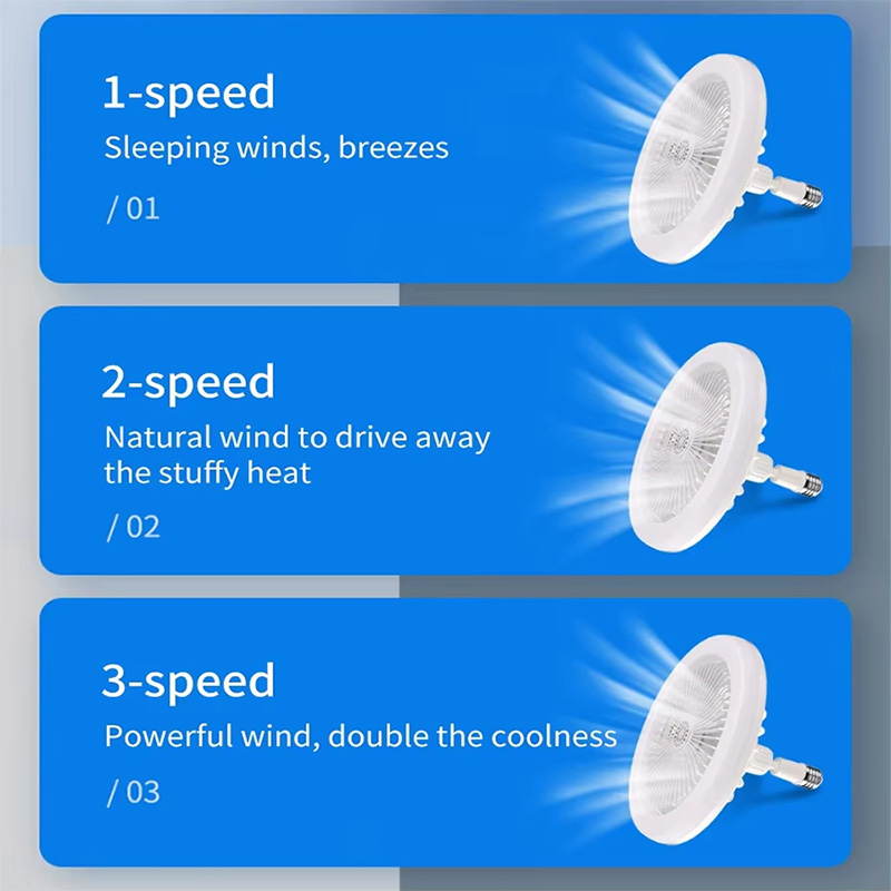 2 In 1 Ceiling Fan Lamps 3 Spe - Decor Lighting Ceiling Fans 评论和价格