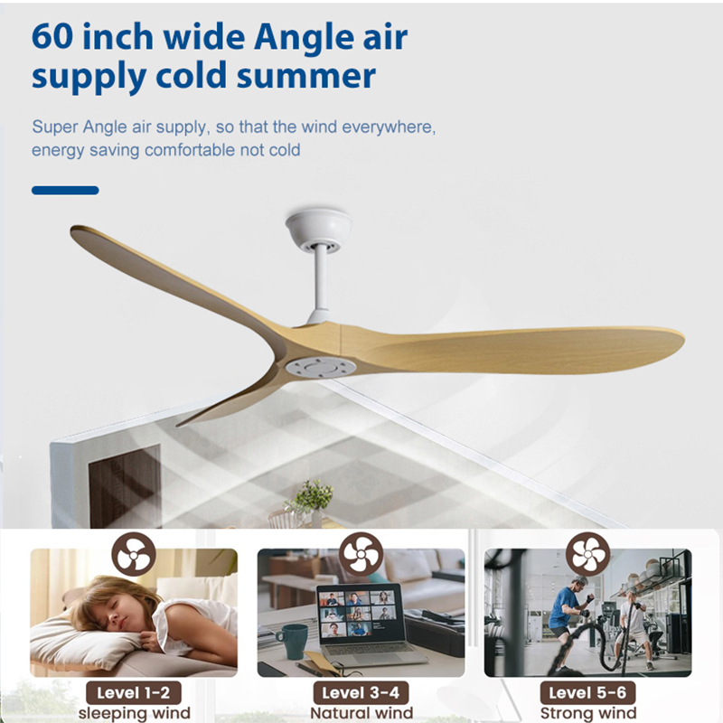 36/42/52/60 Inch Ceiling Fan I - Decor Lighting Ceiling Fans 评论和价格