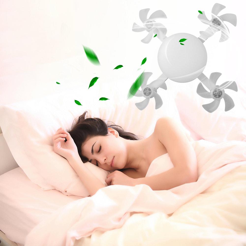 Simple 2 in 1 Ceiling Fan Remo - Decor Lighting Ceiling Fans 评论和价格
